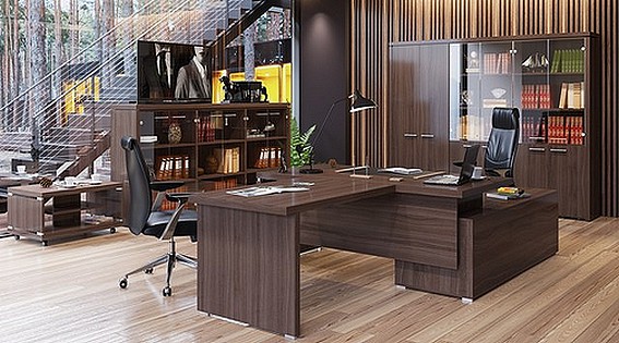 Кабинет руководителя Вектор